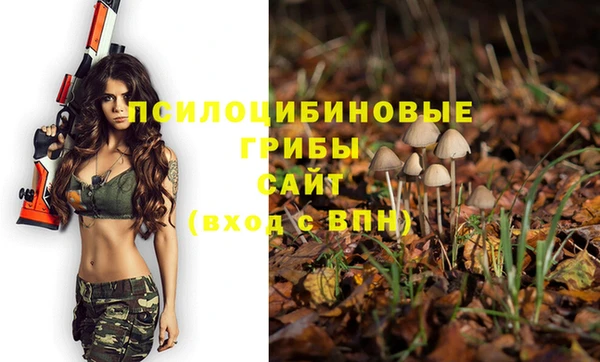 MESCALINE Сосновый Бор