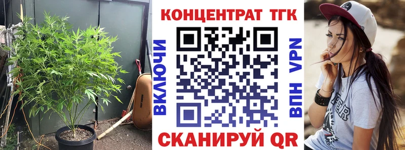 Купить закладки  Полярный  Дистиллят ТГК концентрат 
